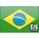 خط دریافت مستقیم فکس از کشور برزیل با پیش شماره +55