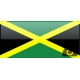 خط تلفن ثابت کشور جامائیکا با پیش شماره +1